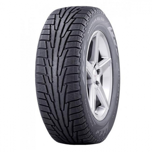Шина Nokian Nordman RS2 195/55 R16 91R
